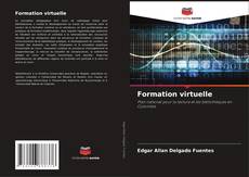 Bookcover of Formation virtuelle