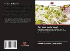 Buchcover von Germes de brocoli