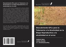 Capa do livro de Descubriendo QTLs para la Tolerancia a la Alcalinidad en la Etapa Reproductiva a la alcalinidad en el arroz 