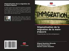 Stigmatisation de la migration de la main-d'œuvre kitap kapağı