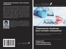 Buchcover von "Expansores tisulares: Una revisión exhaustiva"