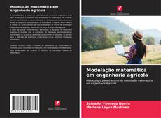 Modelação matemática em engenharia agrícola kitap kapağı
