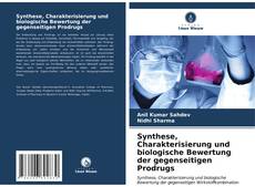 Bookcover of Synthese, Charakterisierung und biologische Bewertung der gegenseitigen Prodrugs