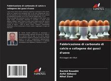 Bookcover of Fabbricazione di carbonato di calcio e collagene dai gusci d'uovo