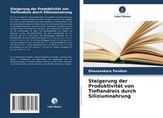 Bookcover of Steigerung der Produktivität von Tieflandreis durch Siliziumnahrung