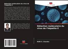 Capa do livro de Détection moléculaire du virus de l'hépatite E 