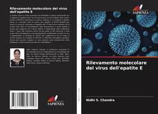 Bookcover of Rilevamento molecolare del virus dell'epatite E