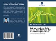 Buchcover von Ertrag von Boro-Reis unter dem Einfluss der Anwendung von USG