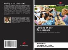 Bookcover of Looking at our Adolescents