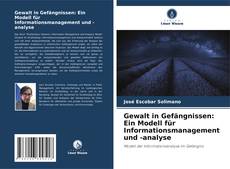Bookcover of Gewalt in Gefängnissen: Ein Modell für Informationsmanagement und -analyse