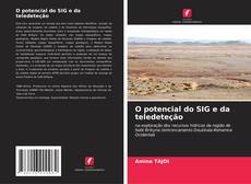 Buchcover von O potencial do SIG e da teledeteção