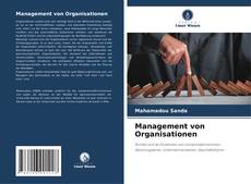 Обложка Management von Organisationen