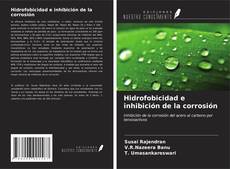 Buchcover von Hidrofobicidad e inhibición de la corrosión