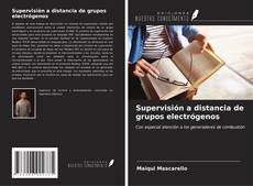 Supervisión a distancia de grupos electrógenos kitap kapağı