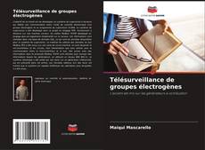 Buchcover von Télésurveillance de groupes électrogènes