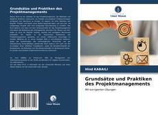 Capa do livro de Grundsätze und Praktiken des Projektmanagements 