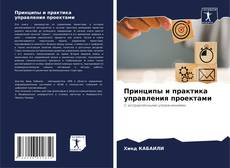 Bookcover of Принципы и практика управления проектами