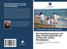 Portada del libro de Die Verfahrenspraxis vor dem Familiengericht im Lichte des neuen Paradigmas