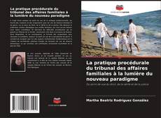 Bookcover of La pratique procédurale du tribunal des affaires familiales à la lumière du nouveau paradigme