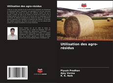 Buchcover von Utilisation des agro-résidus