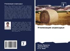 Bookcover of Утилизация агросырья