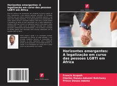 Couverture de Horizontes emergentes: A legalização em curso das pessoas LGBTI em África