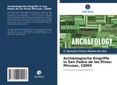 Capa do livro de Archäologische Eingriffe in San Pedro de los Pinos-Mixcoac, CDMX 