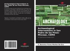 Capa do livro de Archaeological interventions in San Pedro de los Pinos-Mixcoac, CDMX 