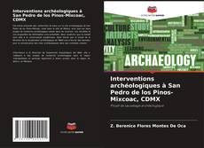 Portada del libro de Interventions archéologiques à San Pedro de los Pinos-Mixcoac, CDMX