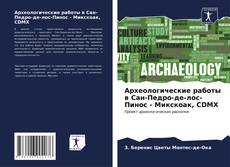 Археологические работы в Сан-Педро-де-лос-Пинос - Микскоак, CDMX kitap kapağı