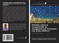 Bookcover of Estudios sobre la recuperación de manganeso por lixiviación con ácido sulfúrico