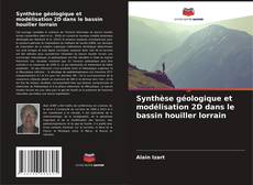 Capa do livro de Synthèse géologique et modélisation 2D dans le bassin houiller lorrain 