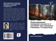 Bookcover of Моделирование пожарной опасности в сосновой зоне Западных Гималаев, Уттаракханд
