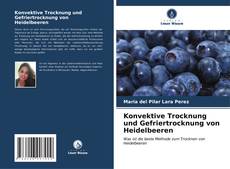 Buchcover von Konvektive Trocknung und Gefriertrocknung von Heidelbeeren