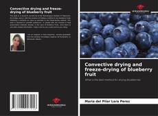 Обложка Convective drying and freeze-drying of blueberry fruit