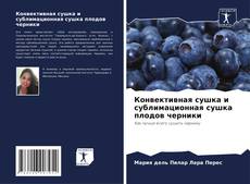 Bookcover of Конвективная сушка и сублимационная сушка плодов черники