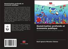 Bookcover of Numérisation profonde et économie publique