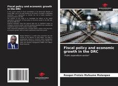 Buchcover von Fiscal policy and economic growth in the DRC