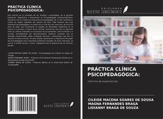 PRÁCTICA CLÍNICA PSICOPEDAGÓGICA: kitap kapağı