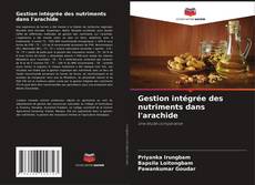 Buchcover von Gestion intégrée des nutriments dans l'arachide