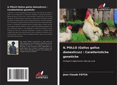 Buchcover von IL POLLO (Gallus gallus domesticus) : Caratteristiche genetiche
