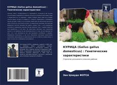 Bookcover of КУРИЦА (Gallus gallus domesticus) : Генетические характеристики