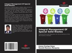 Buchcover von Integral Management Of Special Solid Wastes