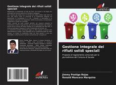 Gestione integrale dei rifiuti solidi speciali kitap kapağı