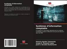 Bookcover of Systèmes d'information comptable