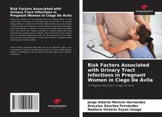Capa do livro de Risk Factors Associated with Urinary Tract Infections in Pregnant Women in Ciego De Ávila 