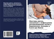 Capa do livro de Факторы риска, связанные с инфекциями мочевыводящих путей у беременных женщин в Сьего-де-Авила 