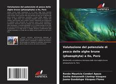 Capa do livro de Valutazione del potenziale di pesca delle alghe brune (phaeophyta) a Ilo, Perù 