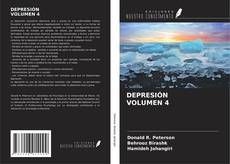 Bookcover of DEPRESIÓN VOLUMEN 4