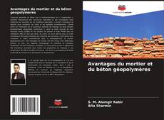 Capa do livro de Avantages du mortier et du béton géopolymères 